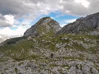 Bild 61 (144 Bildaufrufe)