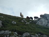 Bild 62 (142 Bildaufrufe)