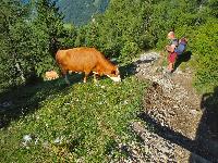 Bild 73 (195 Bildaufrufe)