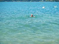 Bild 74 (120 Bildaufrufe)