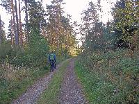 Silberne Birn (189 Bildaufrufe)