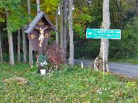Hollenburger Wald (160 Bildaufrufe)