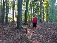 Bild 2 (144 Bildaufrufe)