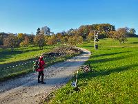Bild 7 (131 Bildaufrufe)