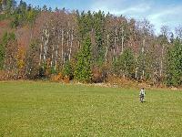 Bild 2 (224 Bildaufrufe)