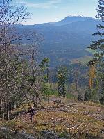 Bild 3 (194 Bildaufrufe)