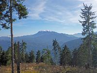 Bild 6 (205 Bildaufrufe)