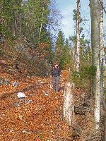 Bild 10 (228 Bildaufrufe)