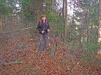 Bild 12 (193 Bildaufrufe)