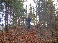 Bild 14 (196 Bildaufrufe)