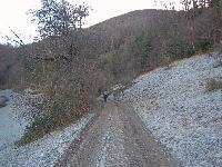 Bild 4 (131 Bildaufrufe)
