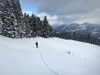Bild 6 (139 Bildaufrufe)