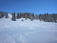 Bild 12 (150 Bildaufrufe)
