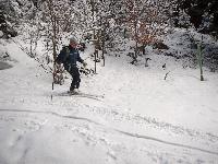 Bild 14 (144 Bildaufrufe)
