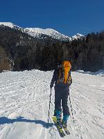 Bild 2 (94 Bildaufrufe)