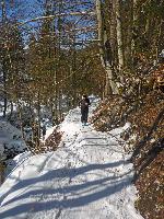 Sonntagshorn (104 Bildaufrufe)