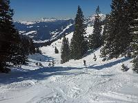 Bild 9 (96 Bildaufrufe)