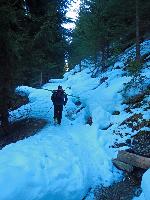 Bild 2 (123 Bildaufrufe)