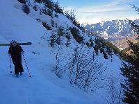 Bild 3 (128 Bildaufrufe)