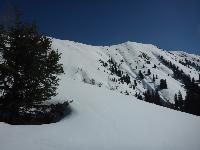 Bild 10 (108 Bildaufrufe)