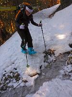 Bild 24 (91 Bildaufrufe)
