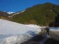 Bild 26 (110 Bildaufrufe)