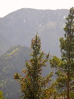 Bild 8 (137 Bildaufrufe)