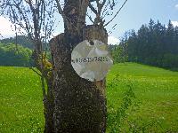 Bild 19 (117 Bildaufrufe)