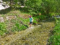 Bild 21 (122 Bildaufrufe)