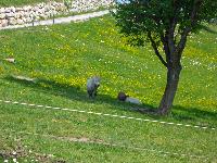 Bild 4 (134 Bildaufrufe)