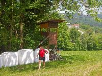 Bild 5 (129 Bildaufrufe)