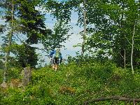 Bild 10 (129 Bildaufrufe)