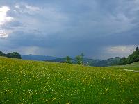 Großer Steinberg (140 Bildaufrufe)