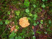 Bild 3 (107 Bildaufrufe)