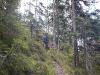 Bild 10 (101 Bildaufrufe)