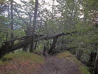 Bild 11 (82 Bildaufrufe)