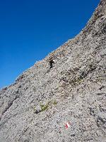 Bild 53 (100 Bildaufrufe)