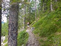 Bild 67 (111 Bildaufrufe)