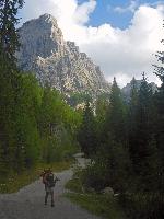 Bild 68 (99 Bildaufrufe)