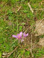 Bild 69 (118 Bildaufrufe)