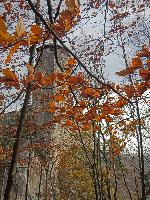 Bild 7 (108 Bildaufrufe)