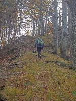 Bild 12 (126 Bildaufrufe)