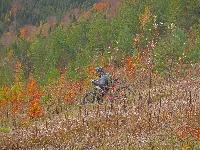 Bild 14 (112 Bildaufrufe)