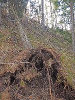 Bild 18 (122 Bildaufrufe)