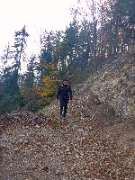 Bild 21 (115 Bildaufrufe)