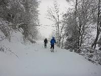Bild 5 (138 Bildaufrufe)