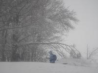 Bild 6 (138 Bildaufrufe)