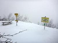 Muckenkogel (133 Bildaufrufe)