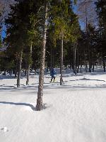 Bild 3 (117 Bildaufrufe)