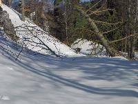 Stieglmauer (104 Bildaufrufe)